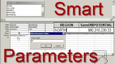 Using Smart (Dynamic) Parameters in Access Queries ~ DataPig