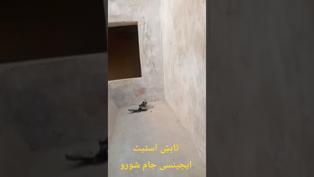 500 SQFT home for sale 1 room ground floor Hall car pouch 2nd room 1st floor Madina Nagar colony