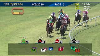 Gulfstream Park: August 5, 2018 Race 3