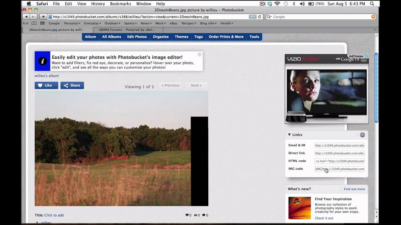 How To Post A Picture In A Forum Post