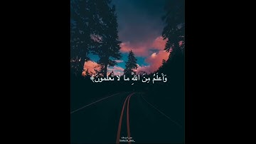 سورة يوسف🖤🖤انس الشهاب🖤