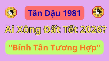 Tân Dậu 1981: Năm 2026 "Bính Tân Tương Hợp", Chọn đúng người Xông Đất là Giàu To!