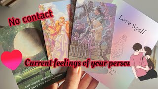 No contact: Current Feeling of your person? Hindi tarot card reading | Love tarot reader | Timeless
