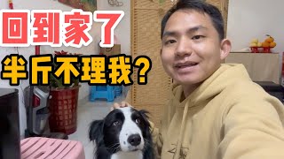 AL301集：阿龙凌晨开夜车回家，半斤不想搭理我？没想到还收到情人节礼物「Eng Sub」