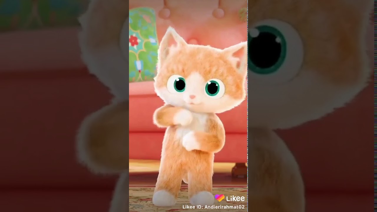 Kucing yg lucu 