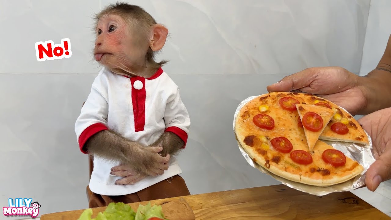 So cute! Lily’s adorable reaction to saying NO to pizza | Lily's story