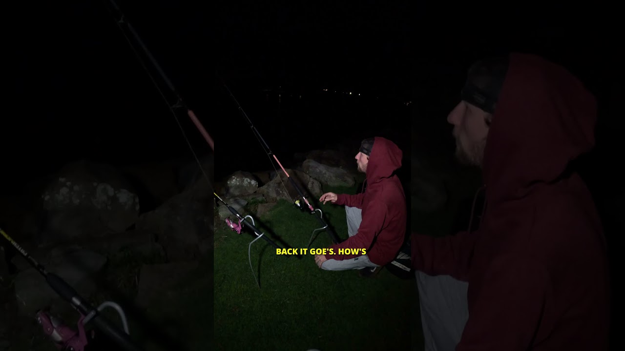 Ночная рыба