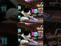 《雙11‧虛擬貓購狂想》 #cat #貓咪日常 #catshorts #funny #雙11 #1111