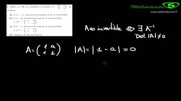 MATRIZ INVERTIBLE EN FUNCIÓN DE UN PARÁMETRO