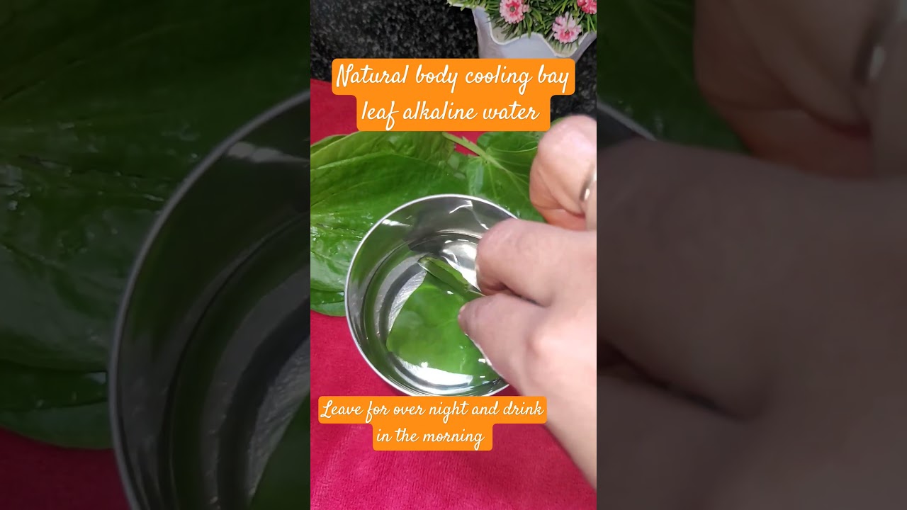 natural body cooling bay leaf alkaline water 