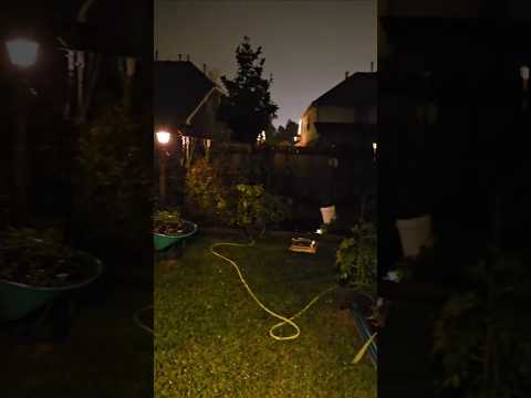 Flashback The Garden Looks So Different Now DHBG Gardeningtips Garden Gardenerscorner 