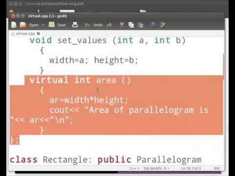 7 Polymorphism English