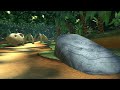 Mario Kart 8 Deluxe - DKR Jungle Falls Gameplay (200cc)