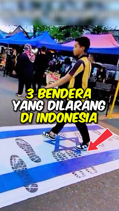 3 Flags That Are Banned in Indonesia! Number 3 is the One Piece flag?