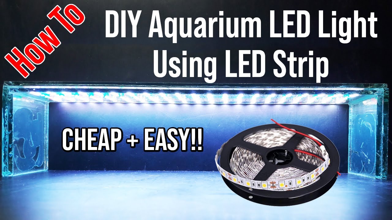 breuk Geletterdheid wandelen How To Make Build DIY Aquarium LED Light With RGB LED Strips (CHEAP And  EASY) - YouTube