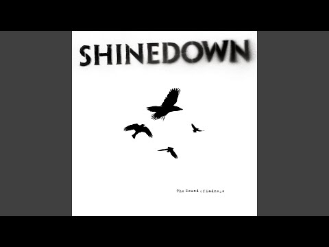 Shinedown - The Crow & the Butterfly