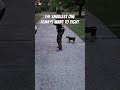 🥴He wants all the smoke #subscribe #onmypath #omp #like #dog #fighting #cute