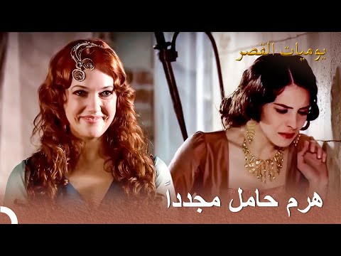أحلام ماهيدفران وواقع هرم يوميات القصر