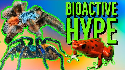 Is It REALLY Good for Tarantulas? BIOACTIVE HYPE!