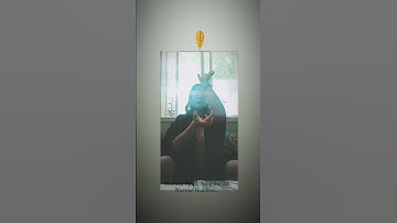 Thumbnail of Shaman Spirit Song For The Warrior Goddess