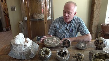 Septarian Nodules (Concretions)