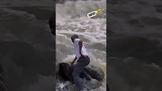 This is just funny to watch😂😂 #funny #shortvideo #dancing #fails #everyone #viral #falling