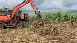 JingGong sugarcane grabber loader worked on the Philippines farm