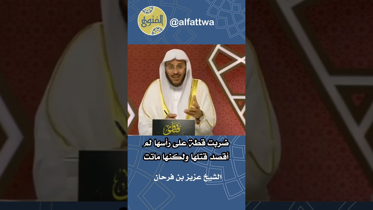 ضربت قطة على رأسها لم أقصد قتلها ولكنها ماتت | الشيخ عزيز بن فرحان