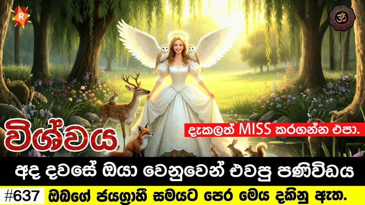 ඔබ ඔබේ ජයග්‍රාහී සමයට ඇතුළු වීමට පෙර ඔබ මෙය අනිවාර්යෙන් දකිනු ඇත. Your today's divine message