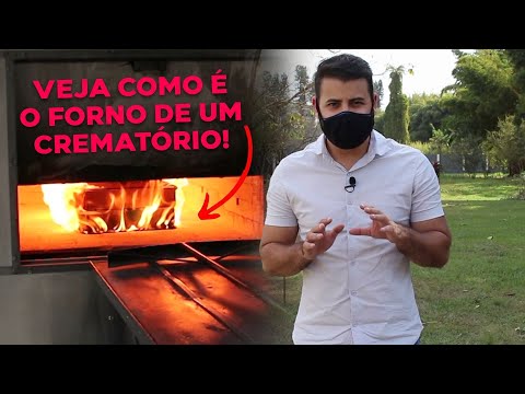 Vídeo: Quanto tempo leva para cremar um cachorro?