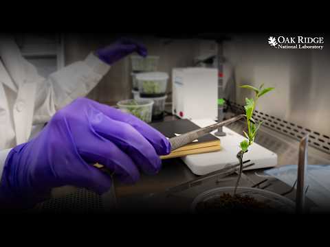 Early Breakthrough for AI-Enabled Biological Discovery
