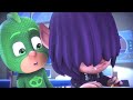 PJ Masks Super Pigiamini 💚🐺 Il Nuovo Amico Di Geco? | Nuovi Episodi | Cartoni Animati