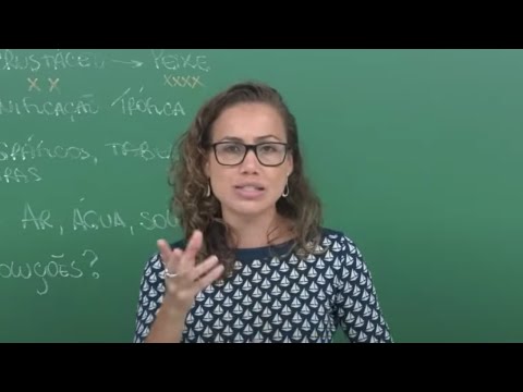 Vídeo: Como a falta de compreensão ecológica pode nos prejudicar?