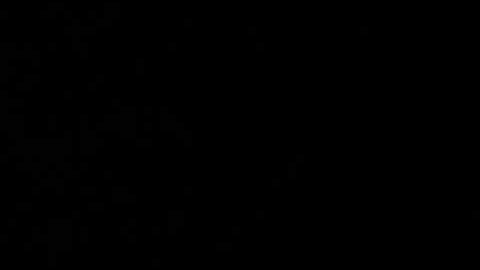 introduction to this channel 💕.first video 🥰. read the  description !!