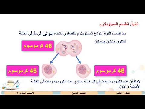 الصف التاسع العلوم الانقسام الخلوي 2