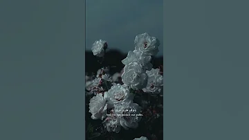 وما لنا ألا نتوكل على الله وقد هدانا سبلنا سورة إبراهيم Quran 