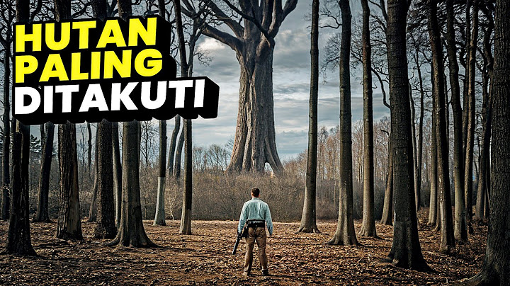 NEKAD MASUK HUTAN TERLARANG SEORANG DIRI‼️