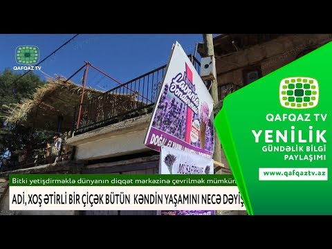 Video: Dondan çiçəklər Necə Gətirilir?