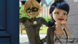 Shut Up Cat Noirmiraculous Clipblack Eyed Peas Shut Upледи Баг И Супер Кот