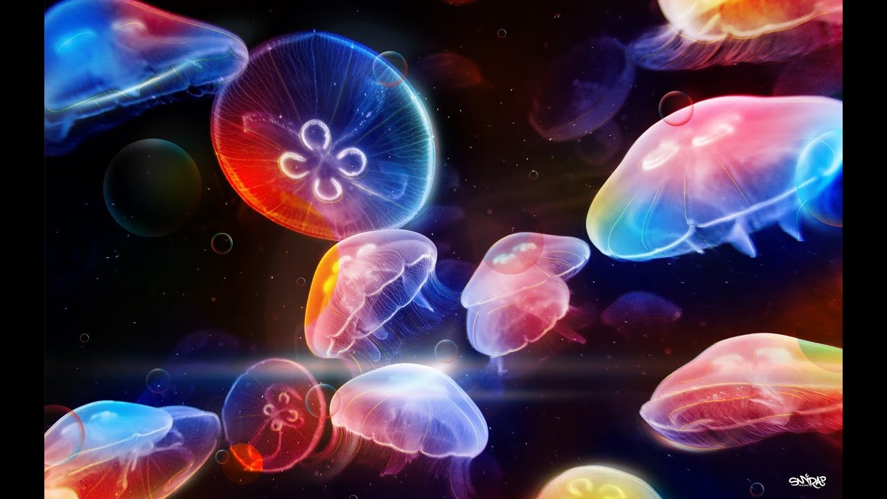 jellyfish changing colors YouTube