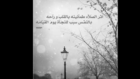 كُلُّ نَفْسٍ ذَائِقَةُ الْمَوْتِ ثُمَّ إِلَيْنَا تُرْجَعُونَ | تلاوه خاشعه للشيخ ادريس ابكر