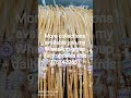 #nature #travel #trending #onlineshopping