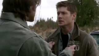 Skyfall Adele   Supernatural