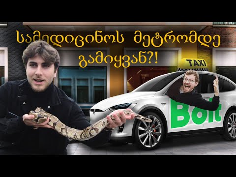 ვიძახებ Bolt-ს და ვხვდები 2 მეტრიანი პითონით! - ვტესტავ Pet friendly სერვისებს საქართველოში!