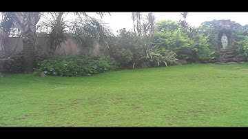 Crazy MSR with the servo motors replaced with PicooZ tail motors