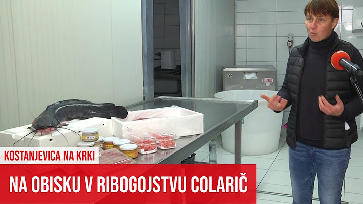 BREŽICE, KRŠKO: Nova ribomata na tržnici. Na obisku v ribogojstvu Colarič