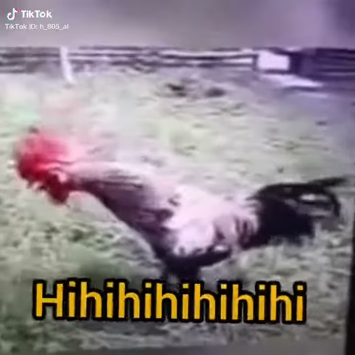 Ko sepi amat ya pada kemana ni woi udah ngopi blm tidur aja lo