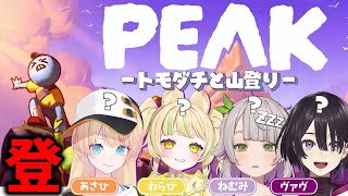 【  PEAK / トモダチコラボ 】久々のメンツで山登ってみる！#お座敷てれび【#座敷わらび/#AiceClass】