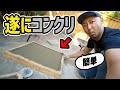 【庭DIY#6】意外と簡単！コンクリート施工したら庭が生まれ変わった！