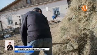 видео: «Биліктің сөзіне алданып қалдық». Моңғолия, Өзбекстаннан келген қандастар енді кері қайтпақ картинка: «Биліктің сөзіне алданып қалдық». Моңғолия, Өзбекстаннан келген қандастар енді кері қайтпақ